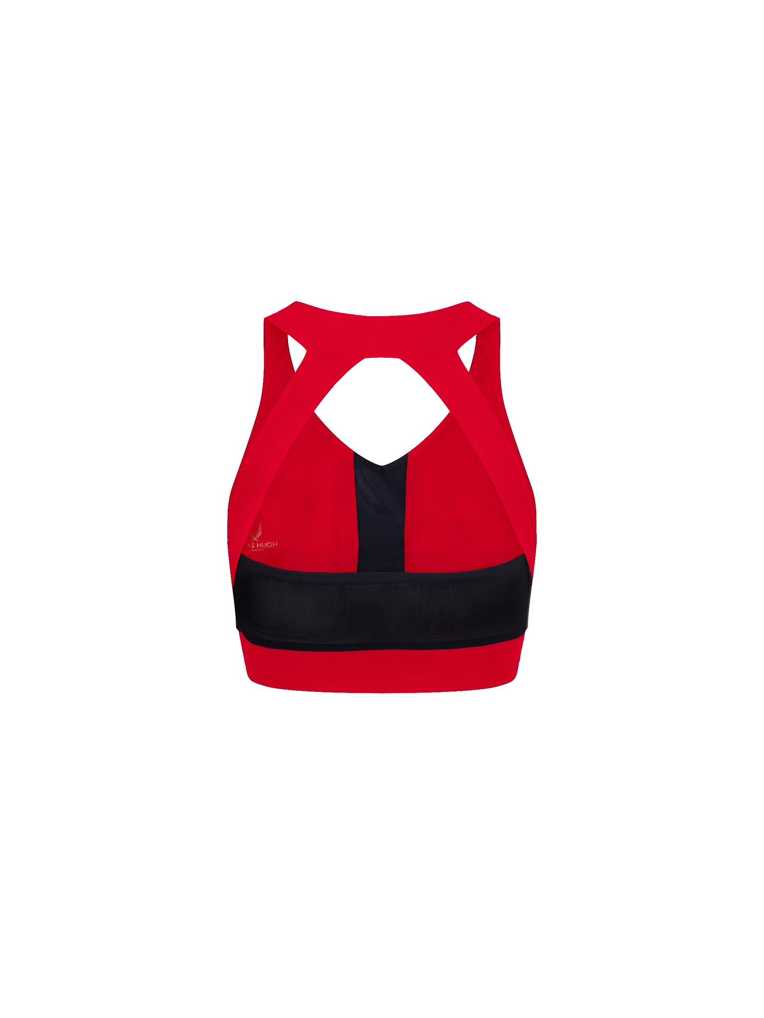 Dynamo Sports Bra