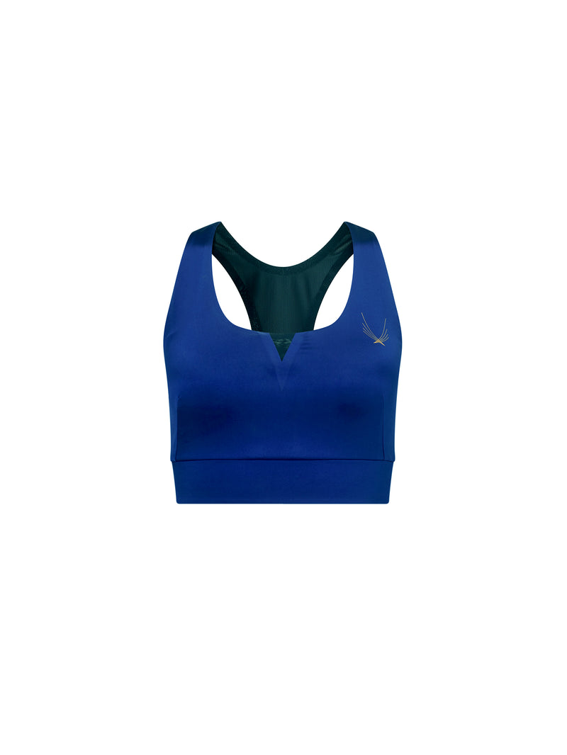 Satin Sports Bra, Blue Women's Sports Bra